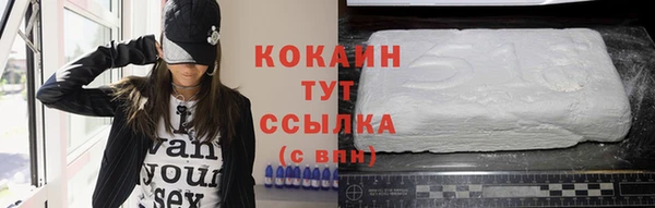 гашик Арсеньев