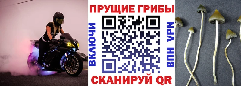 Галлюциногенные грибы прущие грибы  darknet Telegram  Ливны 